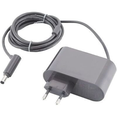 BRAST Chargeur Pour Adaptateur Secteur Pour Aspirateur Dyson V6 V7 V8 Dc58 Dc59 Dc61 Dc62 Sv03 Sv04 Sv05 Sv06 Sv07 - Publicité BRAST Chargeur Pour Adaptateur Secteur Pour Aspirateur Dyson V6 V7 V8 Dc58 Dc59 Dc61 Dc62 Sv03 Sv04 Sv05 Sv06 Sv07 - Publicité