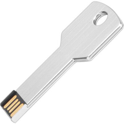 Zanussi Clé Usb En Forme De Clé, Disque Mémoire Usb Pour Ordinateur, Argentée, 32 Go - Publicité Zanussi Clé Usb En Forme De Clé, Disque Mémoire Usb Pour Ordinateur, Argentée, 32 Go - Publicité