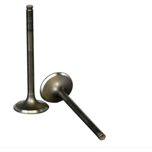 BEAUDENS Soupapes D'Admission Et D'Échappement Pour Moto Yamaha Ybr125 - Compatibles Avec Ttr125, Jym125-2, Jym125-3 - Jeu De Soupapes Pour Moteur - Publicité BEAUDENS Soupapes D'Admission Et D'Échappement Pour Moto Yamaha Ybr125 - Compatibles Avec Ttr125, Jym125-2, Jym125-3 - Jeu De Soupapes Pour Moteur - Publicité