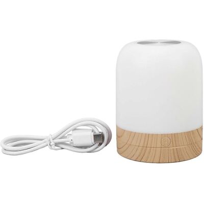 FLAMMKRAFT Veilleuse Pour Enfants Et Adultes En Abs, À Intensité Variable, Couleurs Rgb Changeantes, Lumière Chaude, Rechargeable Et Portable, De Chevet. Publicité FLAMMKRAFT Veilleuse Pour Enfants Et Adultes En Abs, À Intensité Variable, Couleurs Rgb Changeantes, Lumière Chaude, Rechargeable Et Portable, De Chevet. Publicité