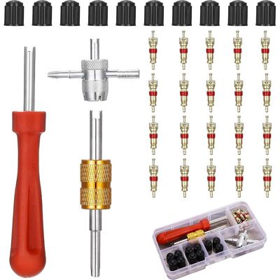 Vision Kit De Démontage De Valve De Pneu En 33 Pièces Comprenant 20 Obus De Valve, Des Extracteurs D'Obus De Valve À Une Et Deux Têtes, 4 Outils Pour Valve Et 10 Bouchons De Valve. Publicité Vision Kit De Démontage De Valve De Pneu En 33 Pièces Comprenant 20 Obus De Valve, Des Extracteurs D'Obus De Valve À Une Et Deux Têtes, 4 Outils Pour Valve Et 10 Bouchons De Valve. Publicité