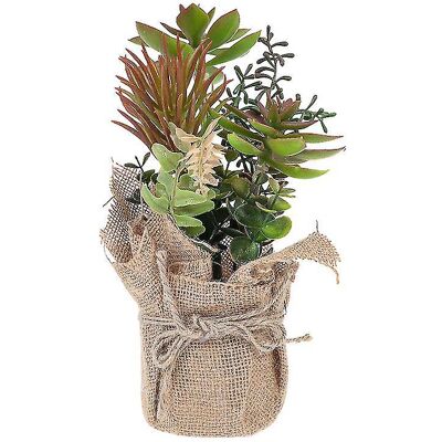 FATRD 1 Bonsaï Succulent Artificiel - Publicité FATRD 1 Bonsaï Succulent Artificiel - Publicité