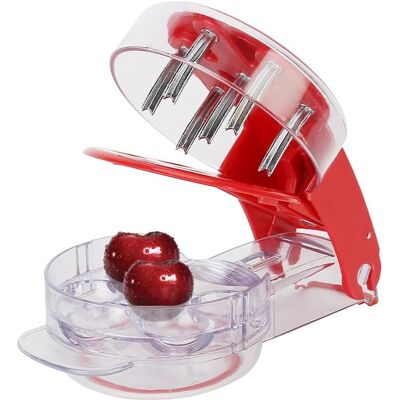 GRASSLIN 1 Dénoyauteur Manuel 6 Trous, Acier Zinc Base Antidérapante, Pour Cerises Olives Prunes Cuisine - Publicité GRASSLIN 1 Dénoyauteur Manuel 6 Trous, Acier Zinc Base Antidérapante, Pour Cerises Olives Prunes Cuisine - Publicité