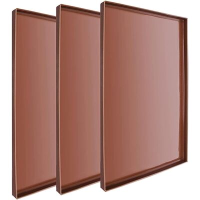 GRASSLIN Tapis Séchoirs À Légumes En Silicone Réutilisables 3pcs Résistants À Haute Température Pour Déshydrateur Et Préparation De Rouleaux De Fruits'-'- - Publicité GRASSLIN Tapis Séchoirs À Légumes En Silicone Réutilisables 3pcs Résistants À Haute Température Pour Déshydrateur Et Préparation De Rouleaux De Fruits'-'- - Publicité