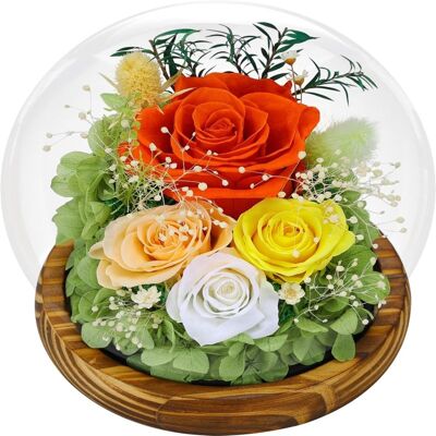 OEM Coffret Cadeau De Fleurs Stabilisées — Dôme Sphérique En Verre Avec Bande Led Intégrée Un Cadeau Pratique Pour Les Anniversaires Et La Saint-valentin — Modèle 1 - Publicité OEM Coffret Cadeau De Fleurs Stabilisées — Dôme Sphérique En Verre Avec Bande Led Intégrée Un Cadeau Pratique Pour Les Anniversaires Et La Saint-valentin — Modèle 1 - Publicité