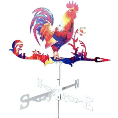 SCORPIO Outils De Jardinage, Girouette Coq En Métal, Décorations De Jardin, Ornements De Style Campagnard, Clôtures De Toit Extérieures, Statues D'Extérieur, Rouge, Statues De Jardin D'Extérieur - Publicité SCORPIO Outils De Jardinage, Girouette Coq En Métal, Décorations De Jardin, Ornements De Style Campagnard, Clôtures De Toit Extérieures, Statues D'Extérieur, Rouge, Statues De Jardin D'Extérieur - Publicité