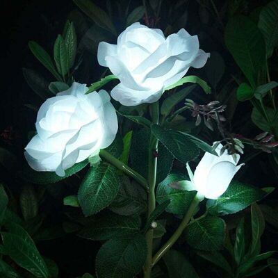 Scotch Lumières De Fleur Solaire Rose Artificielles Lumières Led Solaires Décoratives Pour Extérieur Étanche Ip44 Pour Jardin Noël Extérieur Décoration, Patio, Arrière-cour, Pelouse, Balcon - Publicité Scotch Lumières De Fleur Solaire Rose Artificielles Lumières Led Solaires Décoratives Pour Extérieur Étanche Ip44 Pour Jardin Noël Extérieur Décoration, Patio, Arrière-cour, Pelouse, Balcon - Publicité