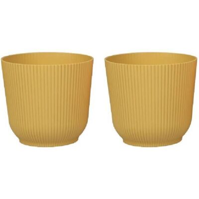 PELTOR Pots De Fleurs Mats Pots De Plantes Ronds En Plastique Durables Et Légers Pour Salon Et Salle À Manger - 2 Pièces (moutarde, 14 Cm) - Publicité PELTOR Pots De Fleurs Mats Pots De Plantes Ronds En Plastique Durables Et Légers Pour Salon Et Salle À Manger - 2 Pièces (moutarde, 14 Cm) - Publicité