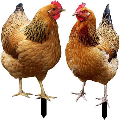 Scotch Lot De 2 Piquets De Jardin En Forme De Poule-décoration En Acrylique-pour Jardin,pelouse - Publicité Scotch Lot De 2 Piquets De Jardin En Forme De Poule-décoration En Acrylique-pour Jardin,pelouse - Publicité