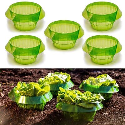 Scotch 6pcs Protection Limaces Légumes Couvre Plante Escargot Collier Garde Jardin - Publicité Scotch 6pcs Protection Limaces Légumes Couvre Plante Escargot Collier Garde Jardin - Publicité