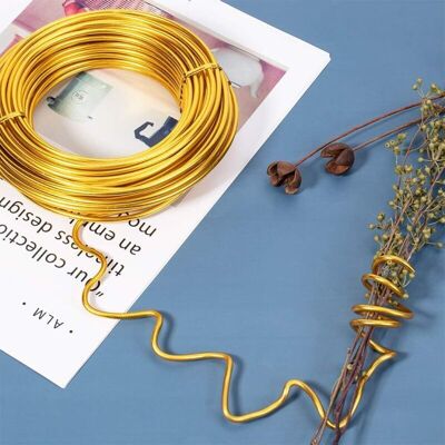 BRAST Ymyny 20 M 2 Mm Aluminum Wire, Gold-colored Modeling Metal Wire For Gardening And Flower Sculptures - Publicité BRAST Ymyny 20 M 2 Mm Aluminum Wire, Gold-colored Modeling Metal Wire For Gardening And Flower Sculptures - Publicité