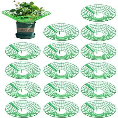 GRASSLIN 15 Supports Fraises, Plastique Vert, Diamètre 26,8 Cm, Pour Jardin, Légume, Fleur - Publicité GRASSLIN 15 Supports Fraises, Plastique Vert, Diamètre 26,8 Cm, Pour Jardin, Légume, Fleur - Publicité