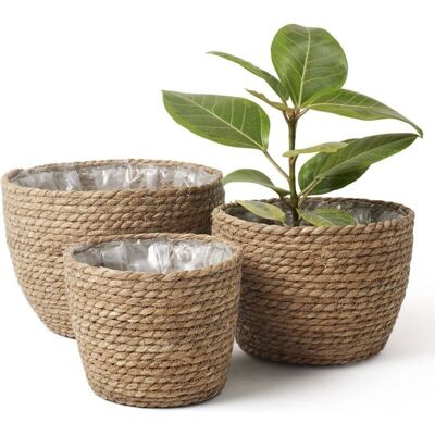 Cellfast Cache-pots De Fleurs - Handeiu - Lot De 3 - Jonc De Mer - Marron - Étanche - Publicité Cellfast Cache-pots De Fleurs - Handeiu - Lot De 3 - Jonc De Mer - Marron - Étanche - Publicité