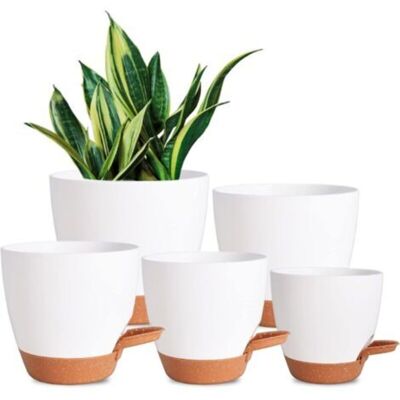 SANS MARQUE 5 Pièces Pots De Fleurs En Plastique, Jardinières Auto-arrosantes Avec Trou De Drainage, 7/6,5/6/5,5/5 Pouces, Blanc - Publicité SANS MARQUE 5 Pièces Pots De Fleurs En Plastique, Jardinières Auto-arrosantes Avec Trou De Drainage, 7/6,5/6/5,5/5 Pouces, Blanc - Publicité