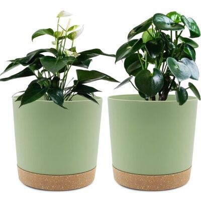 SCORPIO Lot De 2 Pots De Plantes 16.5cm, Pots Pour Plantes D'Intérieur Avec Trous De Drainage Et Base Amovible, Soucoupe Décorative Moderne Pour Jardinières D'Extérieur (vert 16.5cm) - Publicité SCORPIO Lot De 2 Pots De Plantes 16.5cm, Pots Pour Plantes D'Intérieur Avec Trous De Drainage Et Base Amovible, Soucoupe Décorative Moderne Pour Jardinières D'Extérieur (vert 16.5cm) - Publicité