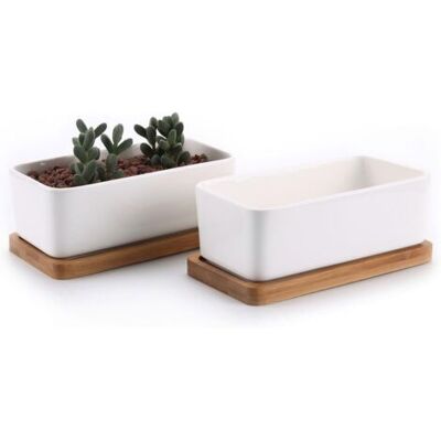 SCORPIO 17cm Pot De Succulent En Céramique Avec Plateau En Bambou Blanc Lot De 2, Cactus Plante Planteur Cache Pot Jardinière Contenant Cadeau Pour Anniversaire Mariage - Publicité SCORPIO 17cm Pot De Succulent En Céramique Avec Plateau En Bambou Blanc Lot De 2, Cactus Plante Planteur Cache Pot Jardinière Contenant Cadeau Pour Anniversaire Mariage - Publicité