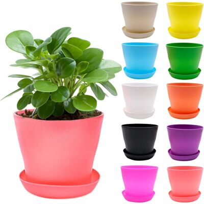 OEM 11 Petits Pots De Fleurs Colorés Avec Soucoupe - 10 Cm, 11 Couleurs, Mini-jardinières Décoratives, En Plastique, Pour L'Intérieur Et L'Extérieur - Publicité OEM 11 Petits Pots De Fleurs Colorés Avec Soucoupe - 10 Cm, 11 Couleurs, Mini-jardinières Décoratives, En Plastique, Pour L'Intérieur Et L'Extérieur - Publicité