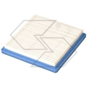 Briggs & Stratton Briggs&stratton Filtre À Air Pour Tondeuse À Gazon Tondeuse Quantum 3.5 Hp 399877 - Publicité Briggs & Stratton Briggs&stratton Filtre À Air Pour Tondeuse À Gazon Tondeuse Quantum 3.5 Hp 399877 - Publicité