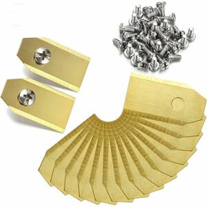 OEM Vurahome - Jeu De 45 Lames En Titane Pour Robots Tondeuses Husqvarna Automower, Gardena, Yardforce (3 G - 0,75 Mm) + 45 Vis - Publicité OEM Vurahome - Jeu De 45 Lames En Titane Pour Robots Tondeuses Husqvarna Automower, Gardena, Yardforce (3 G - 0,75 Mm) + 45 Vis - Publicité