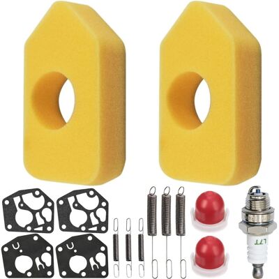 GRASSLIN 15 Pièces Kit Entretien Moteur, Filtre À Air, Joint Carburateur, Ressort, Pour Tondeuse Briggs Stratton - Publicité GRASSLIN 15 Pièces Kit Entretien Moteur, Filtre À Air, Joint Carburateur, Ressort, Pour Tondeuse Briggs Stratton - Publicité