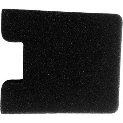 BARKBUSTERS Filtre À Air Neuf De 32/34 Mm - Accessoires De Remplacement - Deux Éléments Filtrants Pour Tondeuse À Gazon 4 Temps - Publicité BARKBUSTERS Filtre À Air Neuf De 32/34 Mm - Accessoires De Remplacement - Deux Éléments Filtrants Pour Tondeuse À Gazon 4 Temps - Publicité