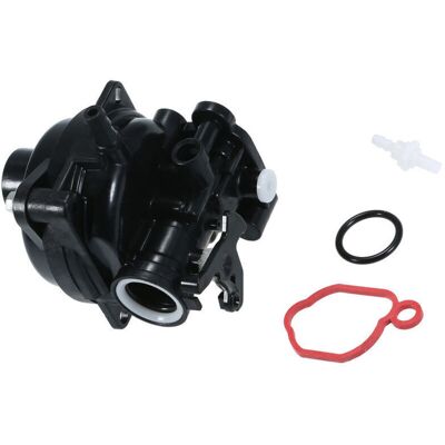 SANS MARQUE Remplacement De Carburat Pour Briggs & Stratton 300e 450e 08p502 8p502 593261 Carburat Tondeuse À Gazon Mots Verticaux - Publicité SANS MARQUE Remplacement De Carburat Pour Briggs & Stratton 300e 450e 08p502 8p502 593261 Carburat Tondeuse À Gazon Mots Verticaux - Publicité