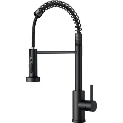 OEM Robinet Cuisine, Mitigeur Cuisine Avec Douchette Pivotant À 360° D'Évier À Arc Élevé Pulvérisateur Escamotable 2 Modes, Acier Inoxydable - Publicité OEM Robinet Cuisine, Mitigeur Cuisine Avec Douchette Pivotant À 360° D'Évier À Arc Élevé Pulvérisateur Escamotable 2 Modes, Acier Inoxydable - Publicité