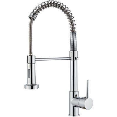 OEM Robinet Cuisine Avec Douchette Pivotant À 360° Robinet Cuisine À Ressort 2 Modes De Pulvérisation Avec Tuyaux Mitigeur Monocommande Evier Froide Et Chaud Disponible (argent) - Publicité OEM Robinet Cuisine Avec Douchette Pivotant À 360° Robinet Cuisine À Ressort 2 Modes De Pulvérisation Avec Tuyaux Mitigeur Monocommande Evier Froide Et Chaud Disponible (argent) - Publicité