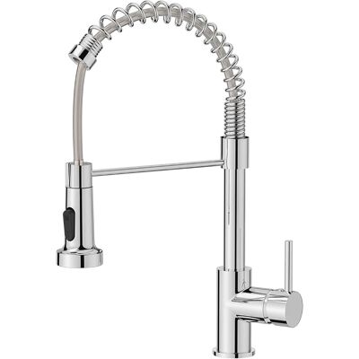OEM Robinet Cuisine, Mitigeur Cuisine Avec Douchette Pivotant À 360° D'Évier À Arc Élevé Pulvérisateur Escamotable 2 Modes, Acier Inoxydable - Publicité OEM Robinet Cuisine, Mitigeur Cuisine Avec Douchette Pivotant À 360° D'Évier À Arc Élevé Pulvérisateur Escamotable 2 Modes, Acier Inoxydable - Publicité