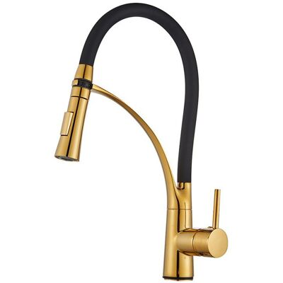 Generic Robinet Mitigeur D'Évier De Cuisine Avec Pulvérisateur Double Fonction, Robinet De Cuisine À Levier Unique Avec Tuyau En Silicone Noir - Publicité Generic Robinet Mitigeur D'Évier De Cuisine Avec Pulvérisateur Double Fonction, Robinet De Cuisine À Levier Unique Avec Tuyau En Silicone Noir - Publicité