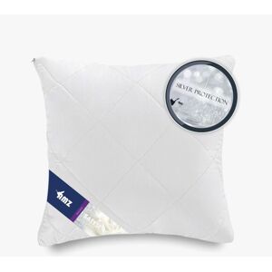 OEM Oreiller Matelassé 70x80 Batiste 100% 1000g Warm Exclusif Premium - Publicité OEM Oreiller Matelassé 70x80 Batiste 100% 1000g Warm Exclusif Premium - Publicité