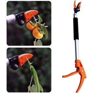 XISRENS Élagueurs Sur Perche – Coupe-branches Compacts Et À Courte Portée Élagueurs Sur Perche Rotatifs, Cisailles De Jardin, Élagage Sur Perche - Publicité XISRENS Élagueurs Sur Perche – Coupe-branches Compacts Et À Courte Portée Élagueurs Sur Perche Rotatifs, Cisailles De Jardin, Élagage Sur Perche - Publicité
