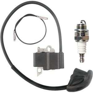 DTEKGAZ Kit De Bobine D'Allumage Pour Débroussailleuses Stihl Fs120/fs120r/fs200/fs200r/fs250, Comprenant Un Transformateur Haute Tension Et Des Bougies D'Allumage, Avec Kit De Réparation. Publicité DTEKGAZ Kit De Bobine D'Allumage Pour Débroussailleuses Stihl Fs120/fs120r/fs200/fs200r/fs250, Comprenant Un Transformateur Haute Tension Et Des Bougies D'Allumage, Avec Kit De Réparation. Publicité