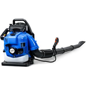 Flasidu - Souffleur À Feuilles Thermique À 4 Temps , Souffleur À Dos À Essence 75,6 Cc,pour La Poussière Et Les Débris De Jardin (bleu) - Publicité Flasidu - Souffleur À Feuilles Thermique À 4 Temps , Souffleur À Dos À Essence 75,6 Cc,pour La Poussière Et Les Débris De Jardin (bleu) - Publicité