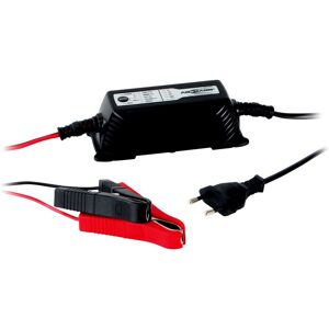 Chargeur automatique Ansmann 1001-0016 12 v, 24 v, 6 v Y810541 - Publicité