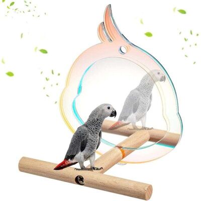 Scotch Perchoir À Oiseaux En Bois Avec Miroir Jouets Pour Perruche Cacatoès Calopsitte Conure Tourtereaux Pinson Canaris - Publicité Scotch Perchoir À Oiseaux En Bois Avec Miroir Jouets Pour Perruche Cacatoès Calopsitte Conure Tourtereaux Pinson Canaris - Publicité