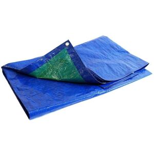 TECPLAST Bâche Bois 2x3 m 150BO Bleue et Verte - Haute Qualité - Bâche de protection imperméable pour Bois de chauffage - blue - Publicité