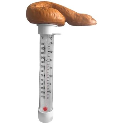 Andiamo Thermomètre De Piscine Flottant Amusant En Forme De Crottes De - - Publicité Andiamo Thermomètre De Piscine Flottant Amusant En Forme De Crottes De - - Publicité