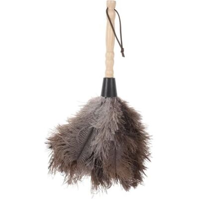 ABYSSE 1 Pc Duster Plumes Pour Nettoyage De Maison Outil De Nettoyage Poussière Pour Équipements Électroniques - Publicité ABYSSE 1 Pc Duster Plumes Pour Nettoyage De Maison Outil De Nettoyage Poussière Pour Équipements Électroniques - Publicité