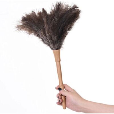 ABYSSE Plume D'Autruche Plumeau, Plumeau Moelleux D'Autruche Avec Poignée Filetée En Bois Plumes D'Autruche Naturelles Antistatique - Publicité ABYSSE Plume D'Autruche Plumeau, Plumeau Moelleux D'Autruche Avec Poignée Filetée En Bois Plumes D'Autruche Naturelles Antistatique - Publicité