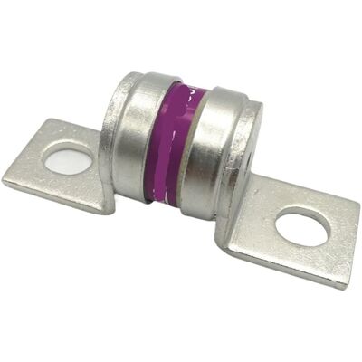 PUNNYB Fusible Rapide Ar 250 V 315 A 300 A 250 A 200 A Lmt 200 350 A - Publicité PUNNYB Fusible Rapide Ar 250 V 315 A 300 A 250 A 200 A Lmt 200 350 A - Publicité