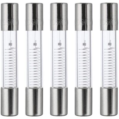 OEM Fusible Haute Tension Rapide Pour Four À Micro-ondes – 0,65 A / 5000 V, Tube En Verre 6 × 40 Mm, Lot De 5 - Publicité OEM Fusible Haute Tension Rapide Pour Four À Micro-ondes – 0,65 A / 5000 V, Tube En Verre 6 × 40 Mm, Lot De 5 - Publicité