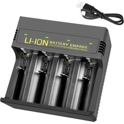 OEM Chargeur De Batterie Universel Pour Piles Rechargeables C Aa Aaa, Nimh Nicd Li-ion, Charge Rapide Usb-c Avec Fonction De Décharge, 4 Emplacements Indépendants. Publicité OEM Chargeur De Batterie Universel Pour Piles Rechargeables C Aa Aaa, Nimh Nicd Li-ion, Charge Rapide Usb-c Avec Fonction De Décharge, 4 Emplacements Indépendants. Publicité