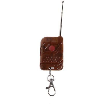 ALLAUVE Télécommande Rf 433 Mhz/315 Mhz 1 Canal Pour Porte De Garage/portail/clé Électronique - Bouton Unique - 315 Mhz - Publicité ALLAUVE Télécommande Rf 433 Mhz/315 Mhz 1 Canal Pour Porte De Garage/portail/clé Électronique - Bouton Unique - 315 Mhz - Publicité