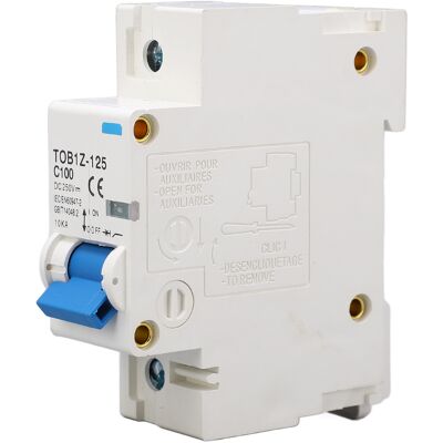 LBVIE Disjoncteur Monophasé 100 A Pour Installation Sur Rail Din 35 Mm, Protection Contre Les Courts-circuits Et Les Surcharges Pour Panneaux Photovoltaïques, 250 V Cc - Publicité LBVIE Disjoncteur Monophasé 100 A Pour Installation Sur Rail Din 35 Mm, Protection Contre Les Courts-circuits Et Les Surcharges Pour Panneaux Photovoltaïques, 250 V Cc - Publicité