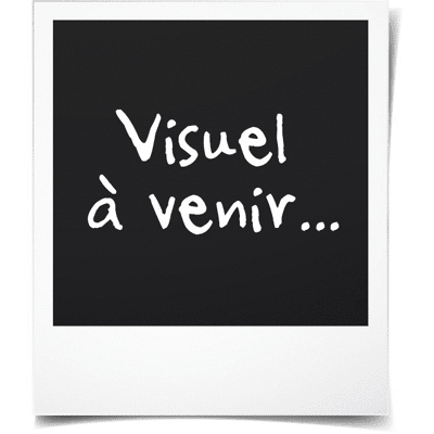 OEM Verrouillage Du Disjoncteur Miniature - Dilwe - Mpco - Nylon - Acier Inoxydable - 38 Mm - Publicité OEM Verrouillage Du Disjoncteur Miniature - Dilwe - Mpco - Nylon - Acier Inoxydable - 38 Mm - Publicité