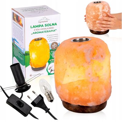 OEM Lampe De Sel, Aromathérapie Naturelle, Huiles Essentielles, Ioniseur D'Air - Publicité OEM Lampe De Sel, Aromathérapie Naturelle, Huiles Essentielles, Ioniseur D'Air - Publicité