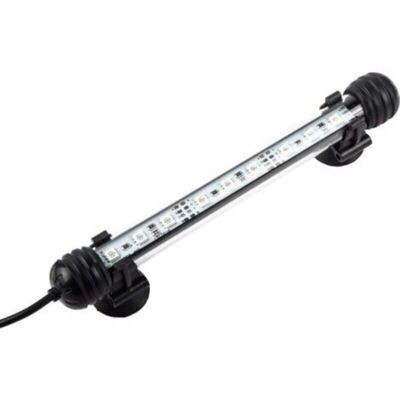 SANS MARQUE Lampe Led Pour Aquarium Économie D'Énergie Éclairage Blanc 28cm Classe G - Publicité SANS MARQUE Lampe Led Pour Aquarium Économie D'Énergie Éclairage Blanc 28cm Classe G - Publicité