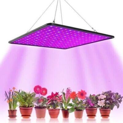 SCORPIO Lampes Led Horticoles 1000w – Lumière Rouge Et Bleue – Croissance Et Floraison Rapides – Installation Facile Pour Serres Et Tentes - Publicité SCORPIO Lampes Led Horticoles 1000w – Lumière Rouge Et Bleue – Croissance Et Floraison Rapides – Installation Facile Pour Serres Et Tentes - Publicité