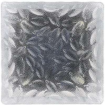 MCKENSA Brique De Verre Solaire Led Abs Étanche, À Enfouir Dans Le Sol, Lampe Paysagère En Forme De Brique De Glace Pour Jardin, Pelouse, Lumière Bleue - Publicité MCKENSA Brique De Verre Solaire Led Abs Étanche, À Enfouir Dans Le Sol, Lampe Paysagère En Forme De Brique De Glace Pour Jardin, Pelouse, Lumière Bleue - Publicité